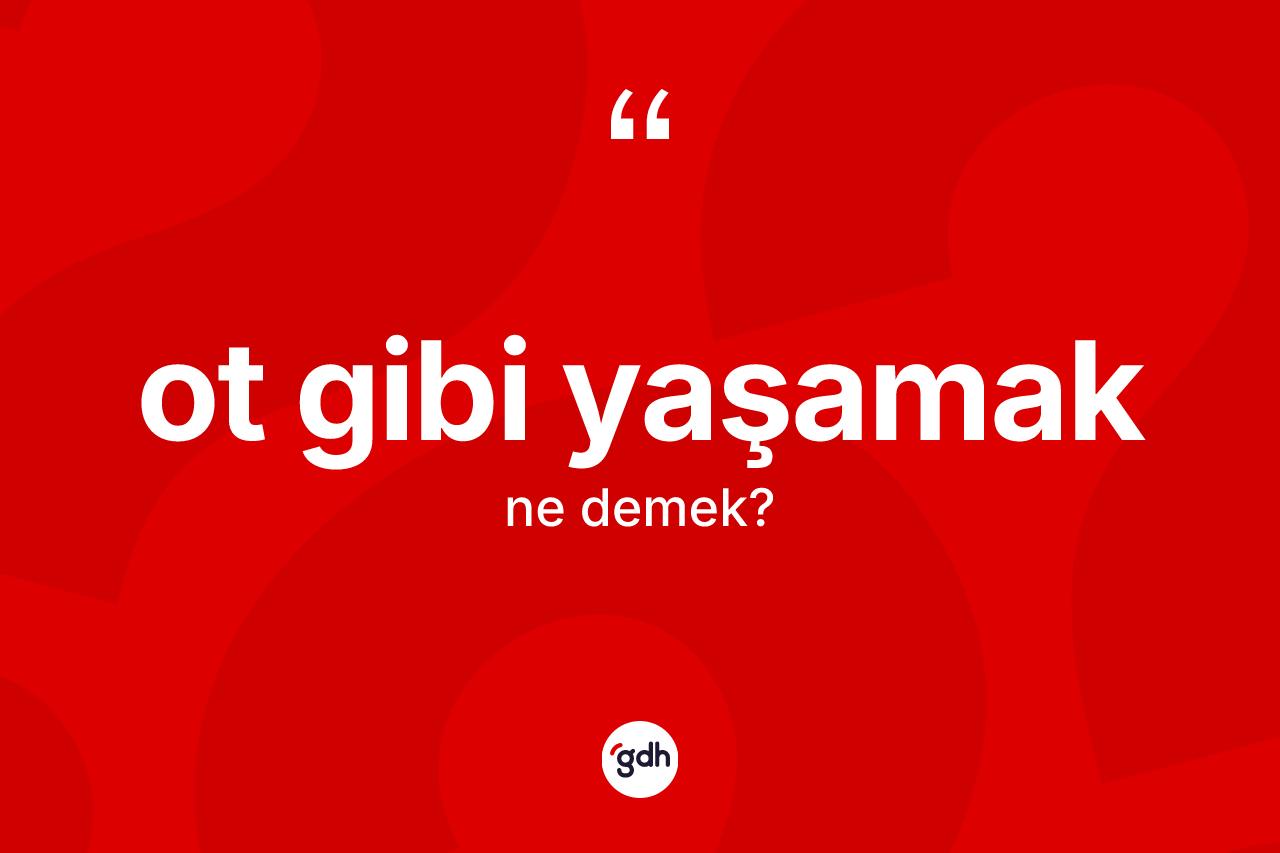 Ot gibi yaşamak ne anlama gelir? Ot gibi yaşamak ifadesinin TDK anlamı nedir?