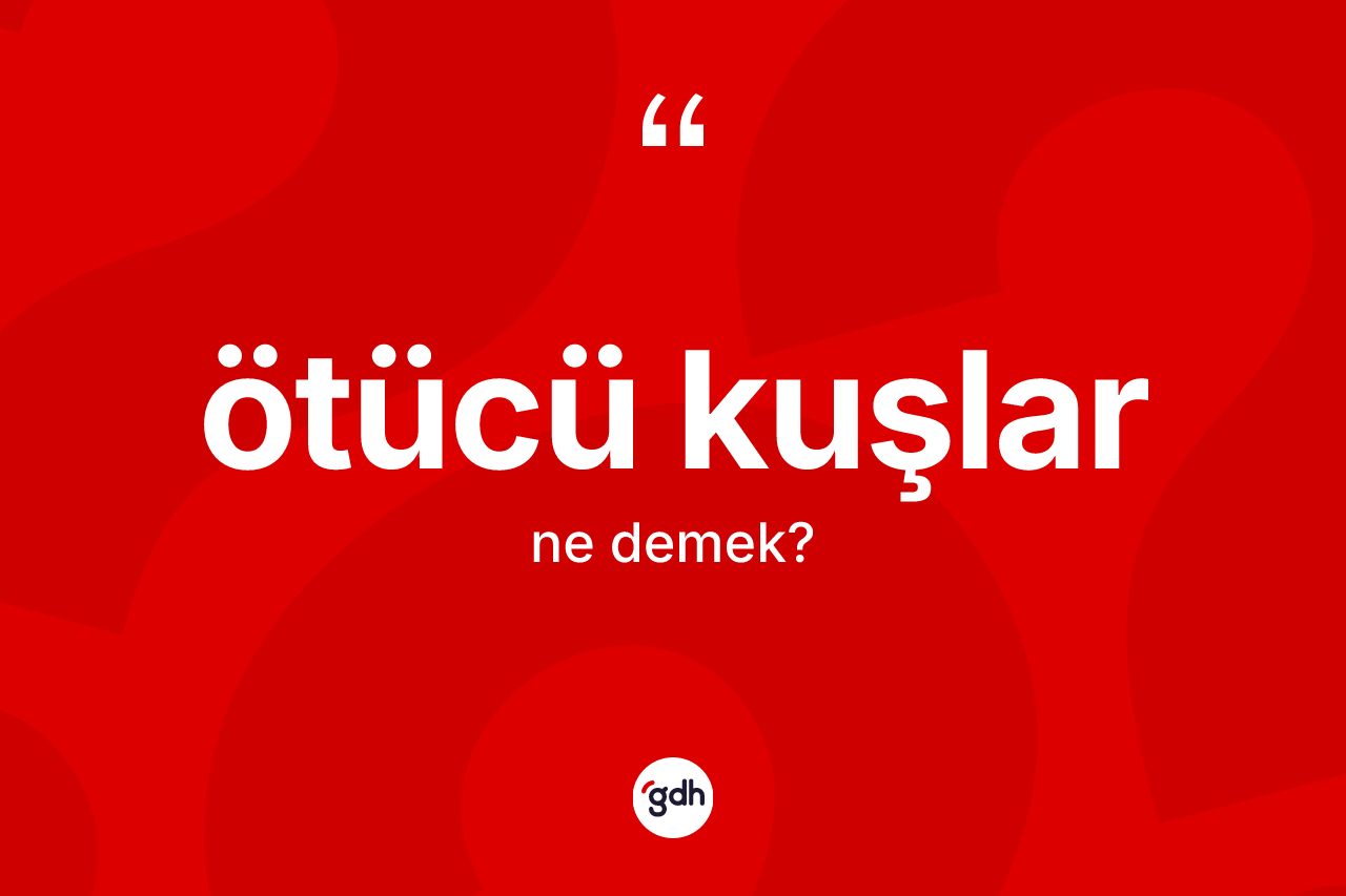Ötücü kuşlar kelimesinin sözlükteki tanımı nedir? Ötücü kuşlar kelimesinin TDK'ya göre açıklaması nedir?