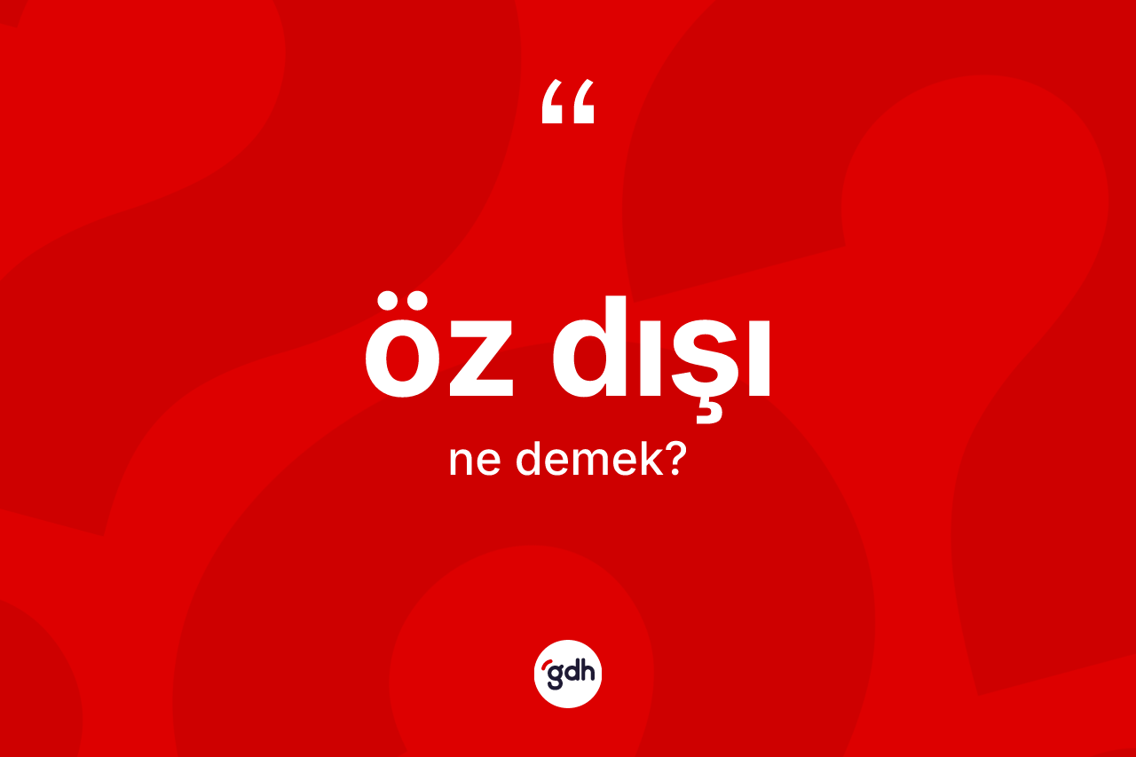 Öz dışı kelimesinin tanımı nedir? Öz dışının TDK'ya göre anlamı nedir?