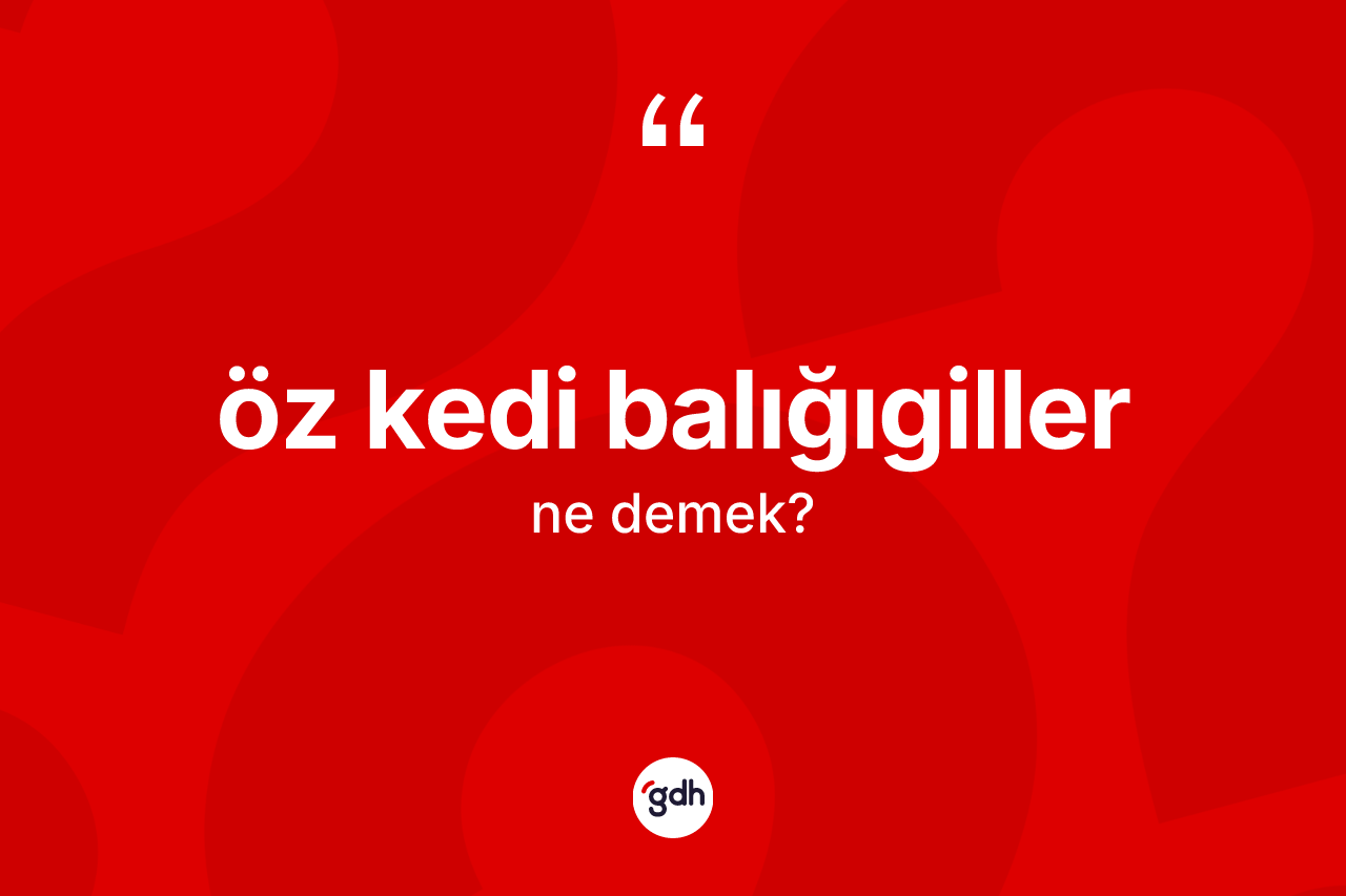 Öz kedi balığıgiller kelimesi nedir? Öz kedi balığıgiller kelimesinin TDK'ya göre açıklaması nedir?