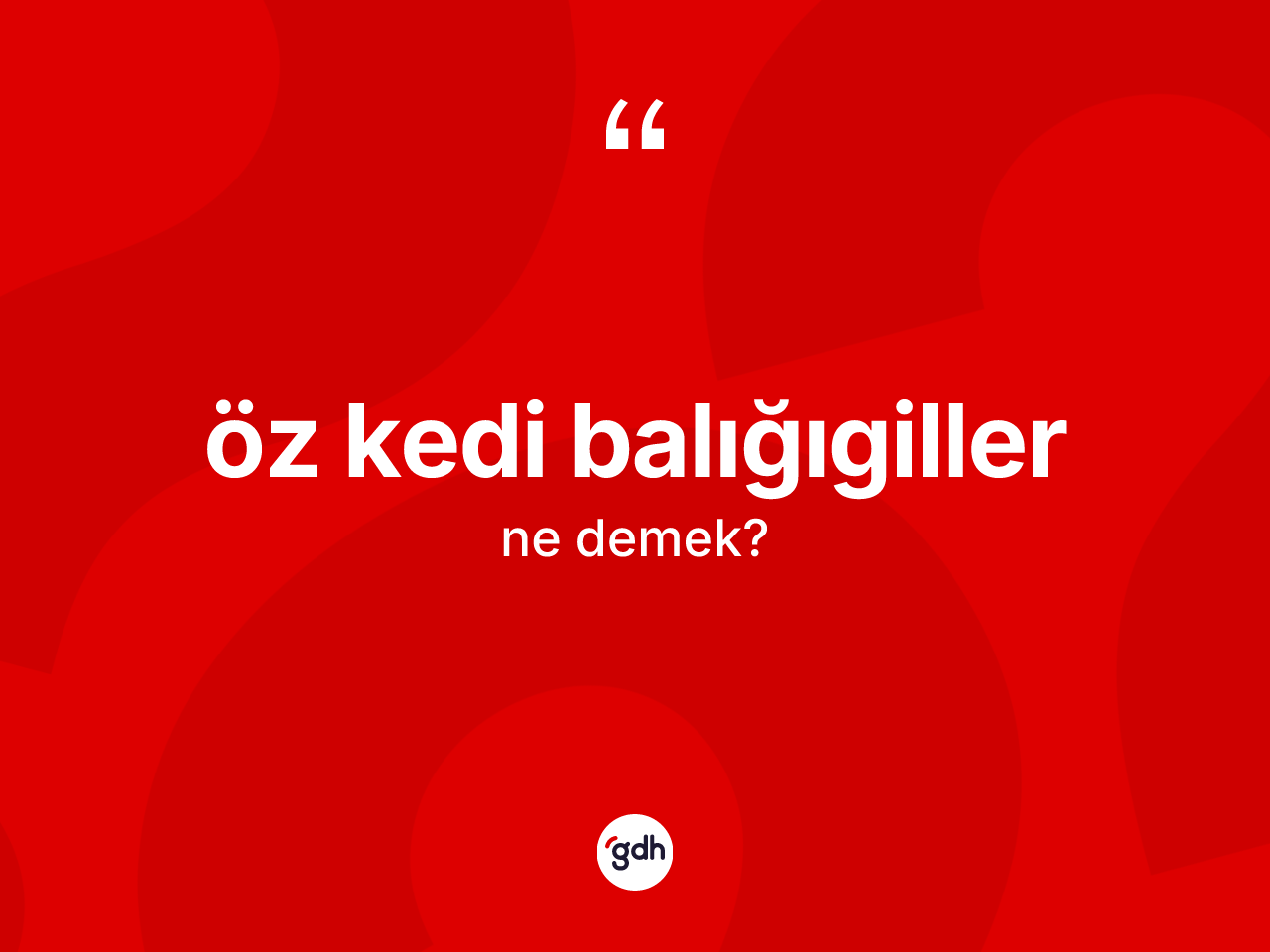 Öz kedi balığıgiller kelimesi nedir? Öz kedi balığıgiller kelimesinin TDK'ya göre açıklaması nedir?