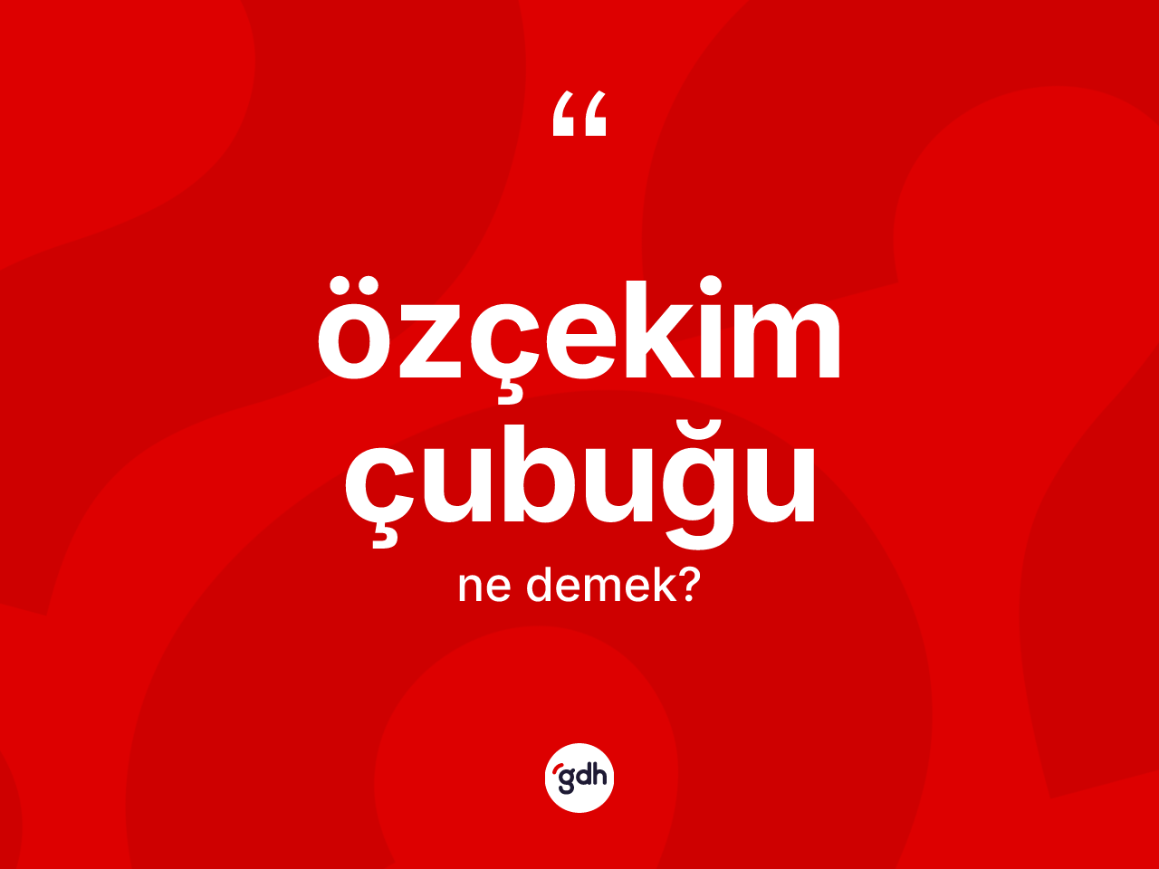 Özçekim çubuğu  kelimesinin anlamı nedir? Özçekim çubuğu un TDK'ya göre anlamı nedir?