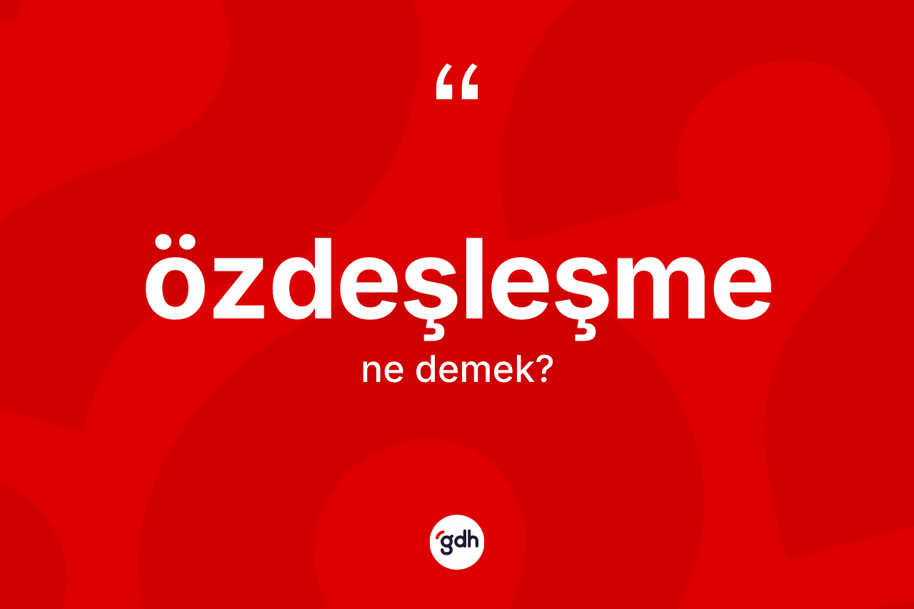 Özdeşleşme ne anlama gelir? Özdeşleşmenin TDK'ya göre anlamı nedir?