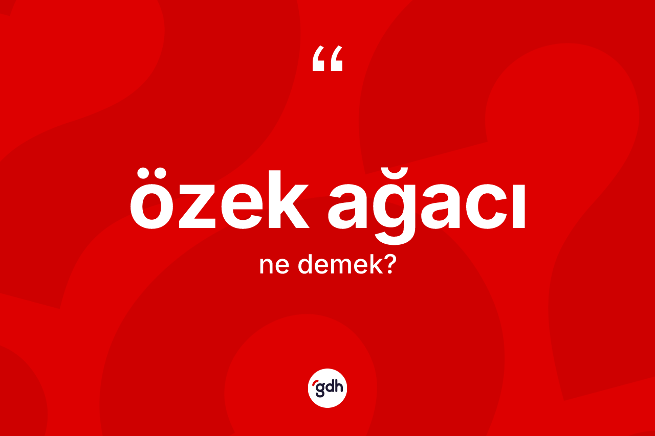 Özek ağacı kelimesinin tanımı nedir? Özek ağacının sözlükteki anlamı nedir?