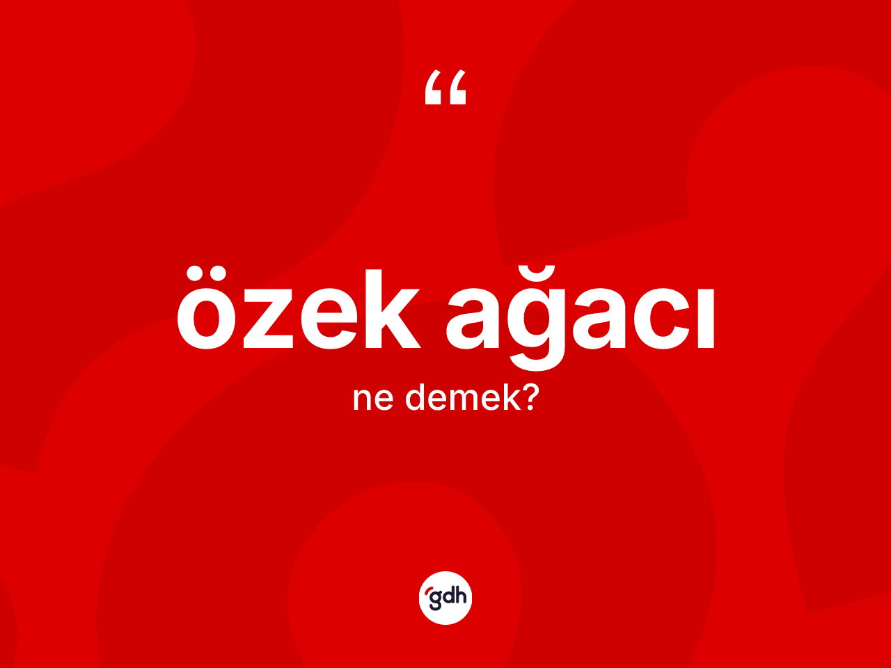 Özek ağacı kelimesinin tanımı nedir? Özek ağacının sözlükteki anlamı nedir?