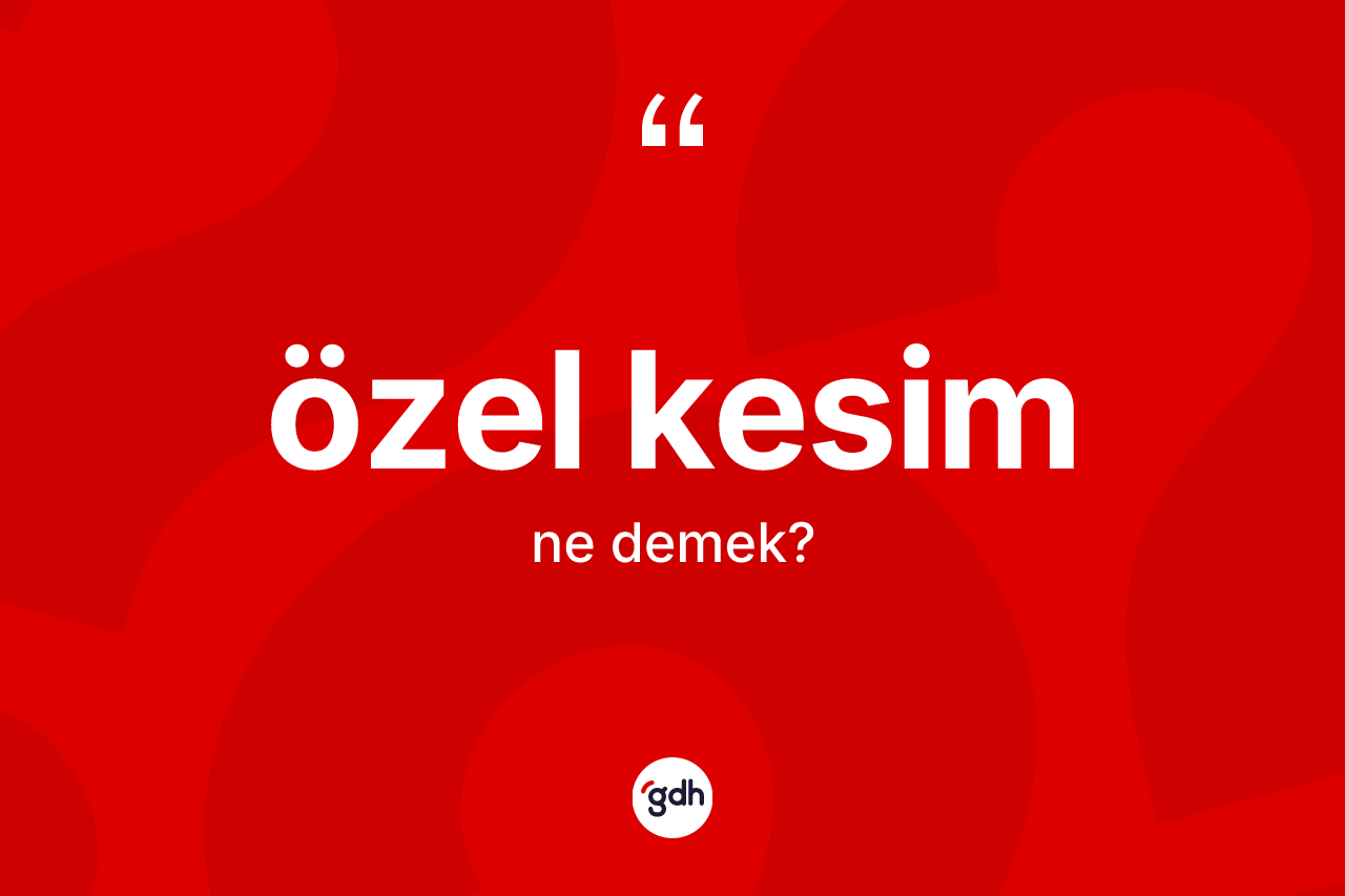 Özel kesim kelimesi ne demek? Özel kesimin TDK'ya göre anlamı nedir?