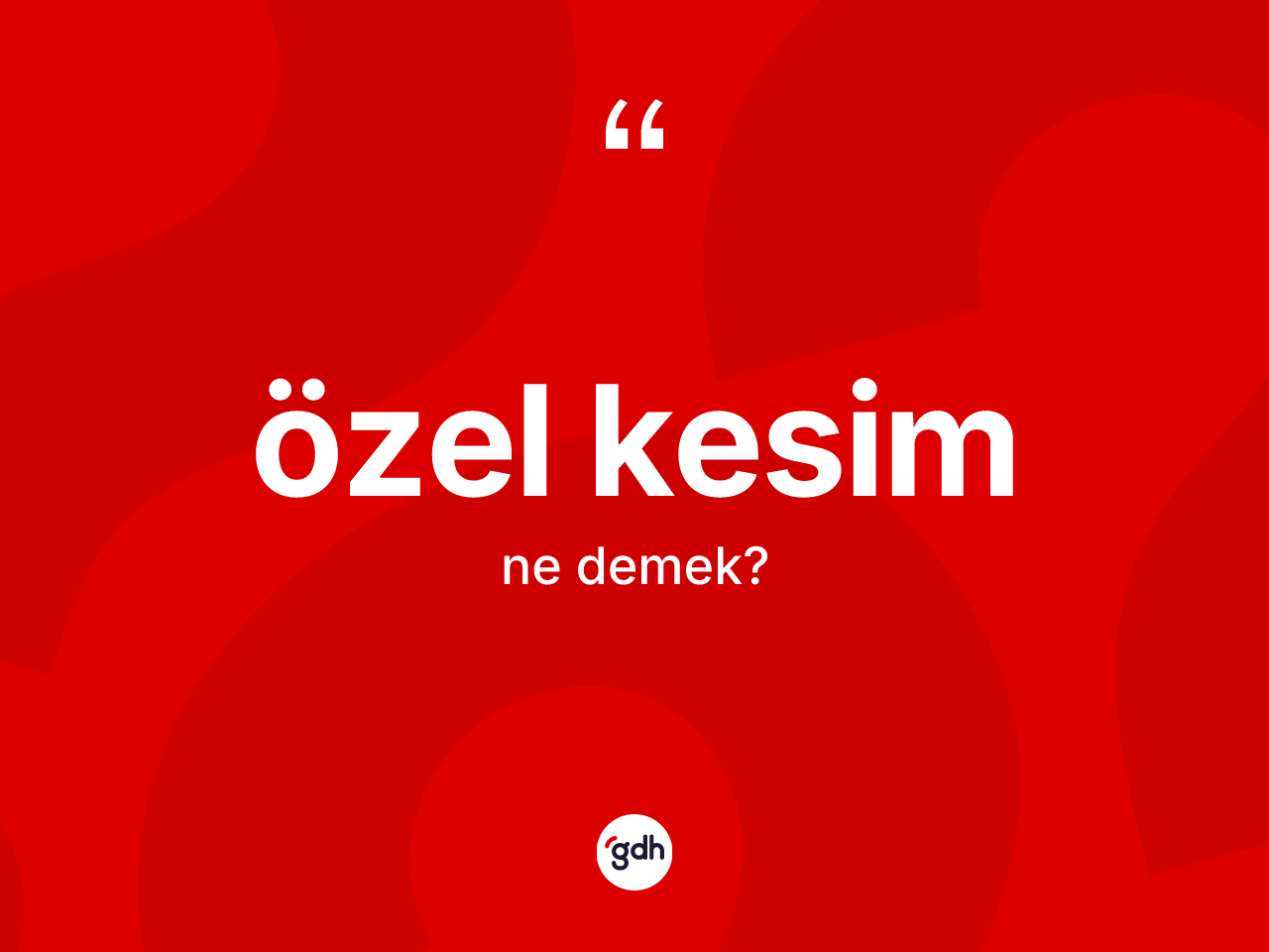 Özel kesim kelimesi ne demek? Özel kesimin TDK'ya göre anlamı nedir?