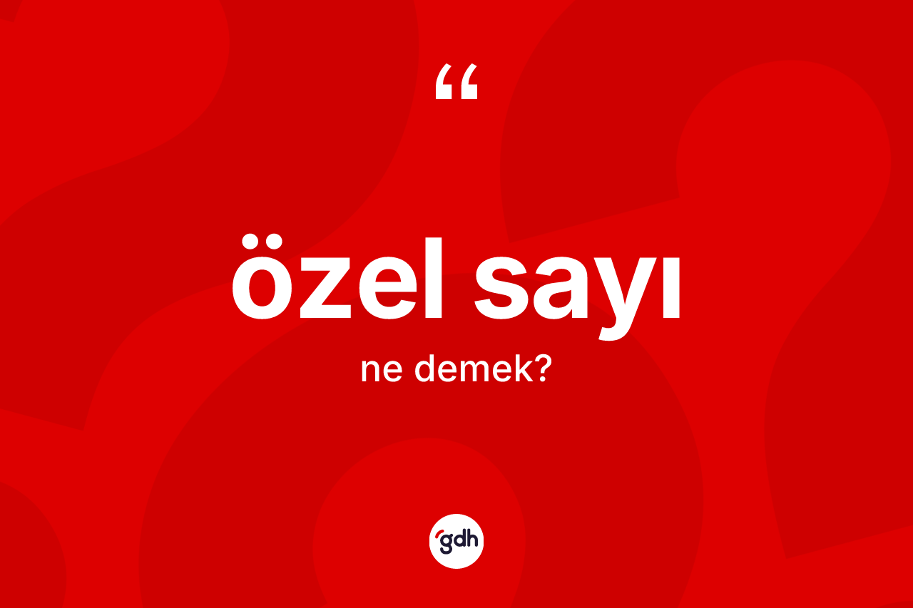 Özel sayı kelimesi ne anlama gelir? Özel sayının sözlükteki anlamı nedir?