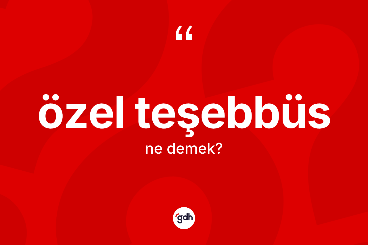 Özel teşebbüs kelimesinin sözlükteki tanımı nedir? Özel teşebbüsün TDK'ya göre anlamı nedir?