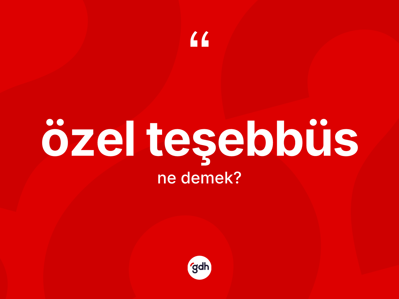 Özel teşebbüs kelimesinin sözlükteki tanımı nedir? Özel teşebbüsün TDK'ya göre anlamı nedir?