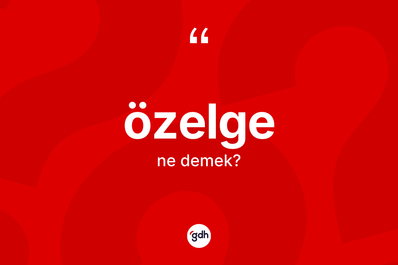 Özelge kelimesinin anlamı nedir? Özelgenin TDK'ya göre anlamı nedir?