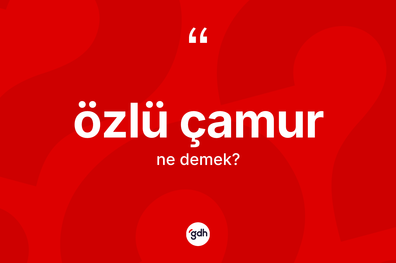 Özlü çamur kelimesi ne anlama gelir? Özlü çamurun TDK'ya göre anlamı nedir?