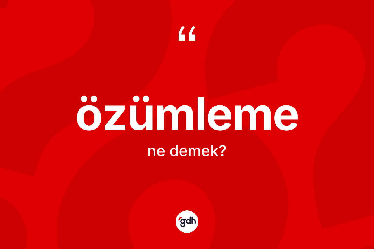 Özümleme ne anlama gelir? Özümlemenin TDK'ya göre anlamı nedir?