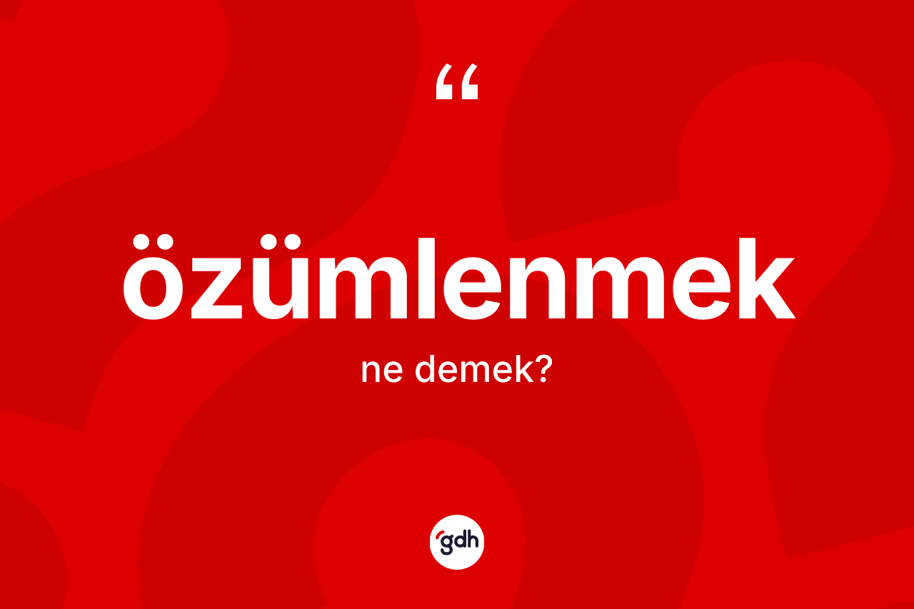 Özümlenmek kelimesi nedir? Özümlenmek kelimesinin kaç farklı anlamı var?