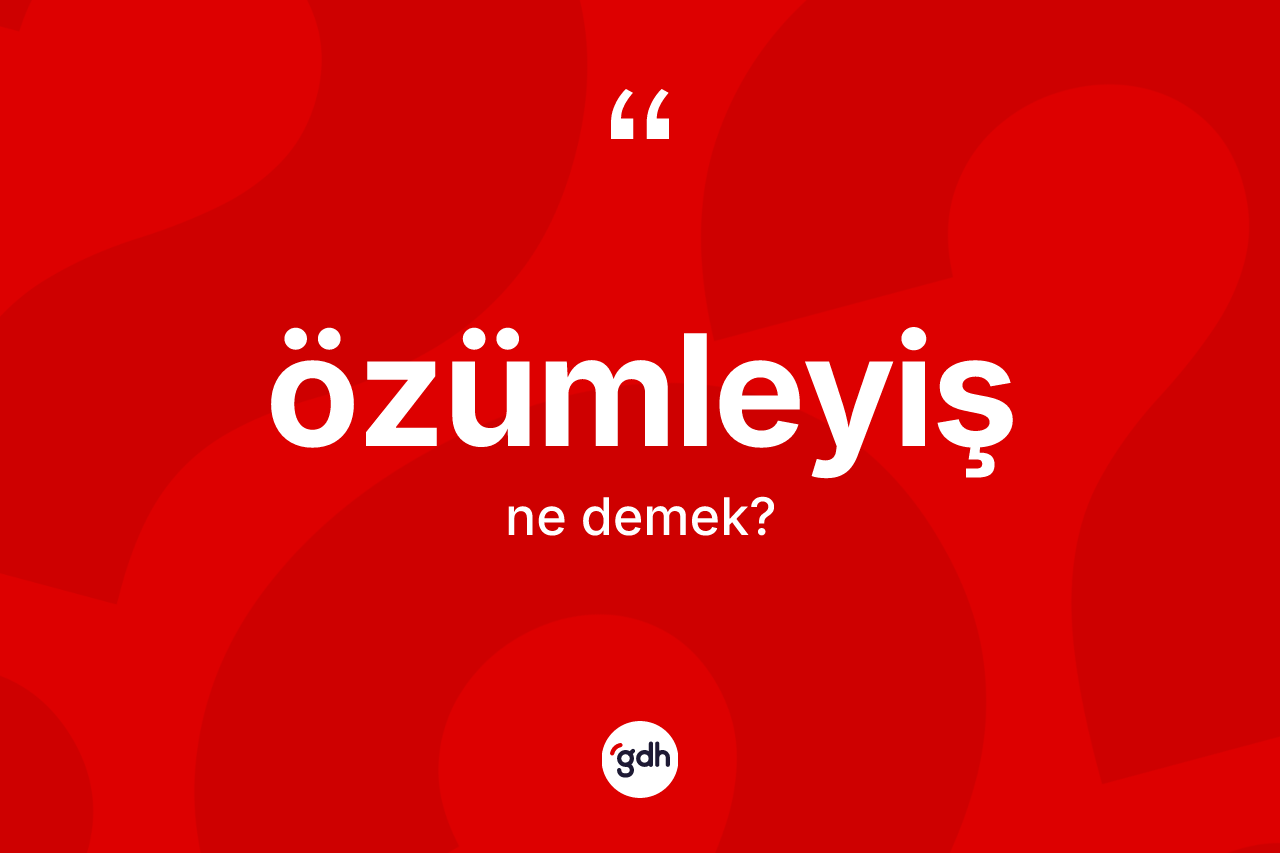 Özümleyiş kelimesinin anlamı nedir? Özümleyişin TDK'ya göre anlamı nedir?