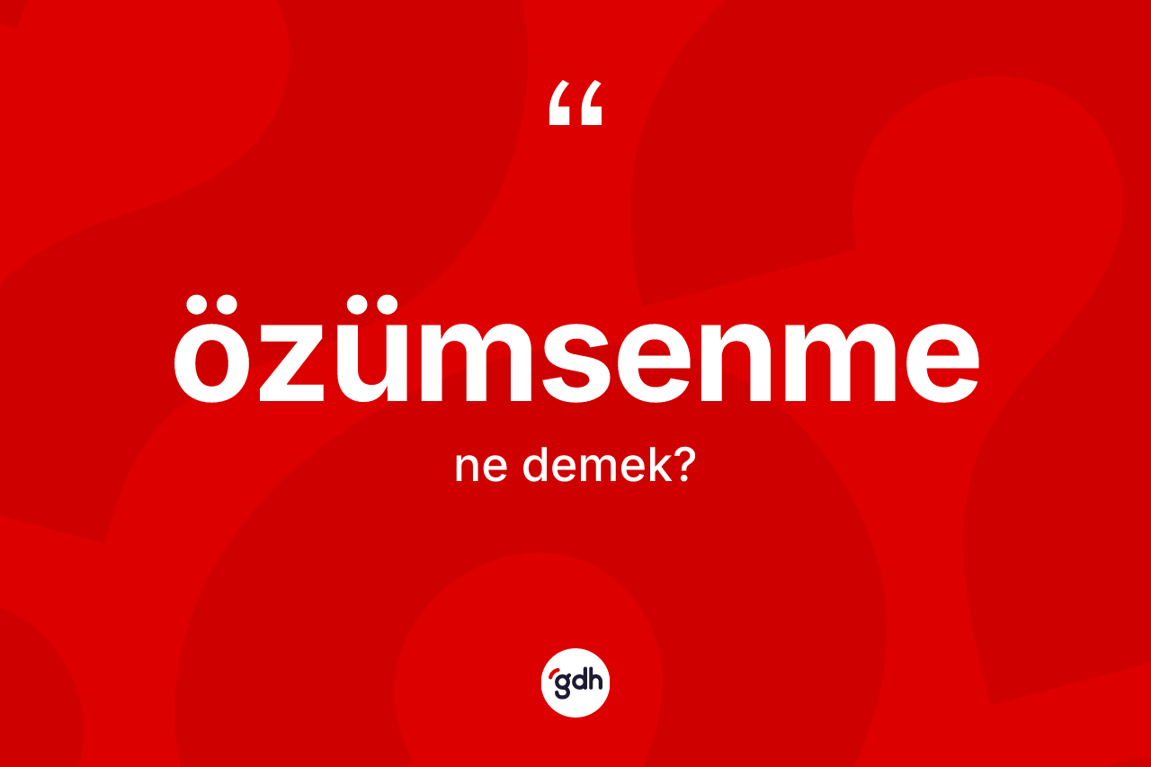 Özümsenme kelimesinin sözlükteki tanımı nedir? Özümsenmenin TDK'ya göre anlamı nedir?