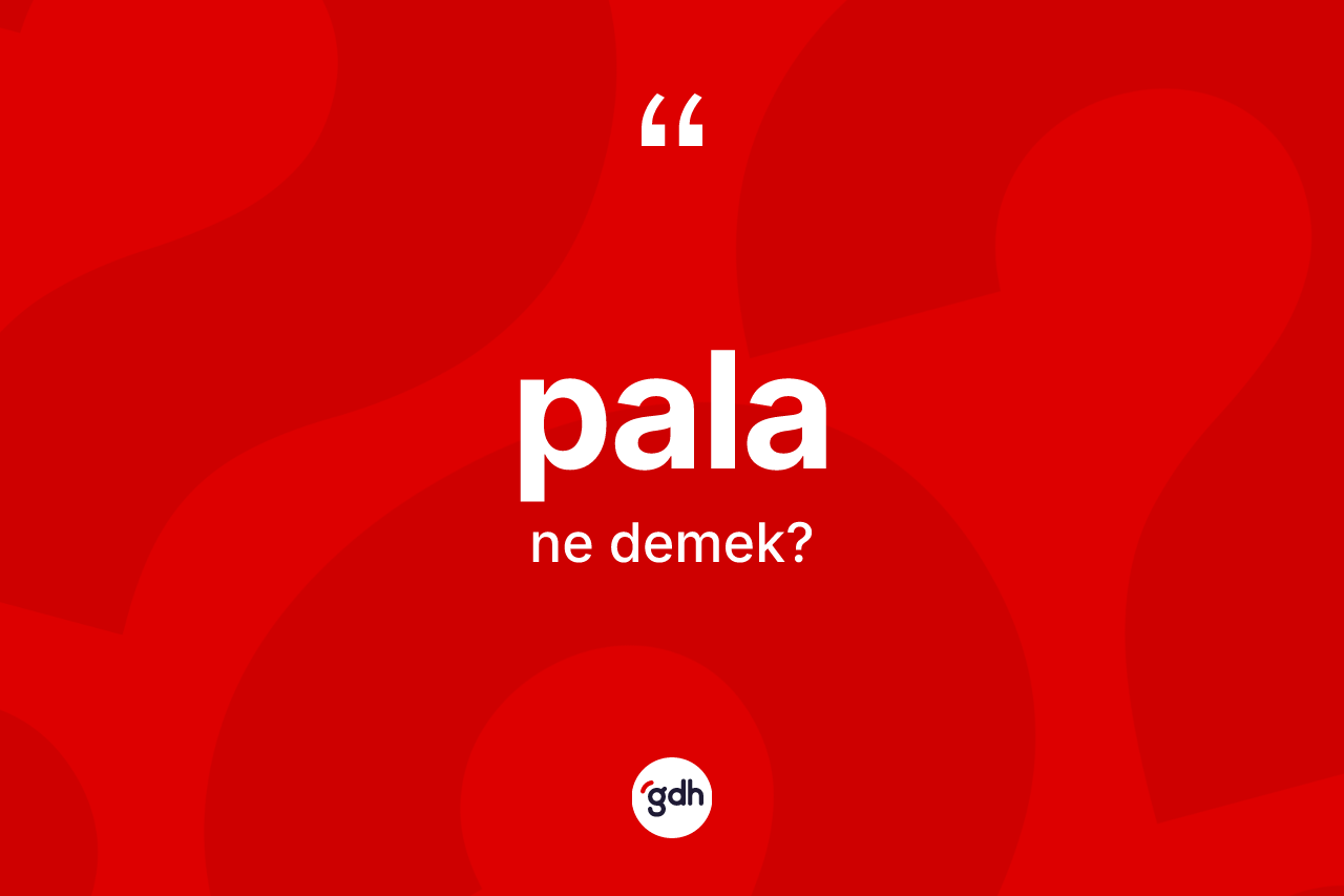 Pala kelimesi nedir? Palanın halk arasındaki kullanımı nasıldır?
