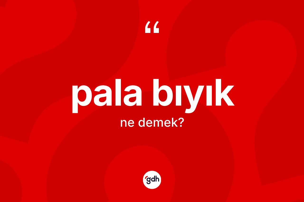 Pala bıyık kelimesinin tanımı nedir? Pala bıyığın sözlükteki anlamı nedir?