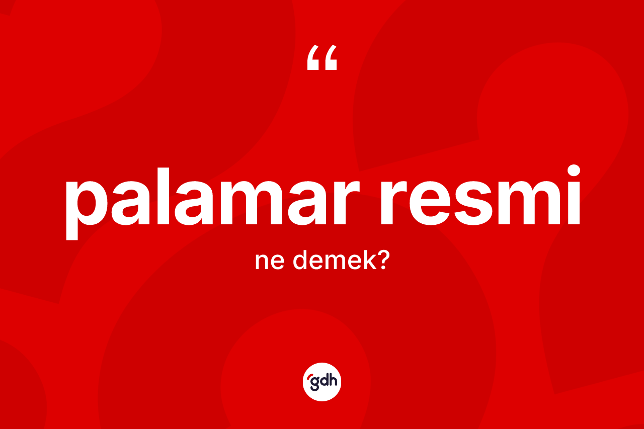 Palamar resmi ne demek? Palamar resmi kelimesinin TDK anlamı nedir?