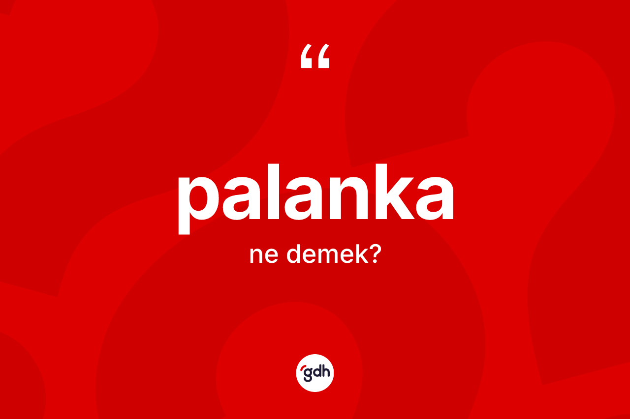 Palanka kelimesinin anlamı nedir? Palankanın kısaca tanımı nedir?