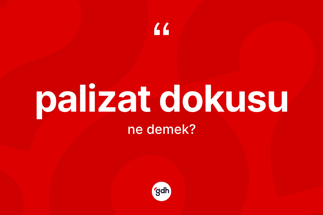 Palizat dokusu nedir? Palizat dokusunun kısaca tanımı nedir?