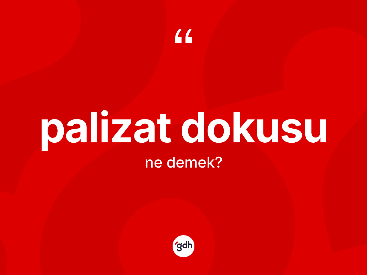 Palizat dokusu nedir? Palizat dokusunun kısaca tanımı nedir?