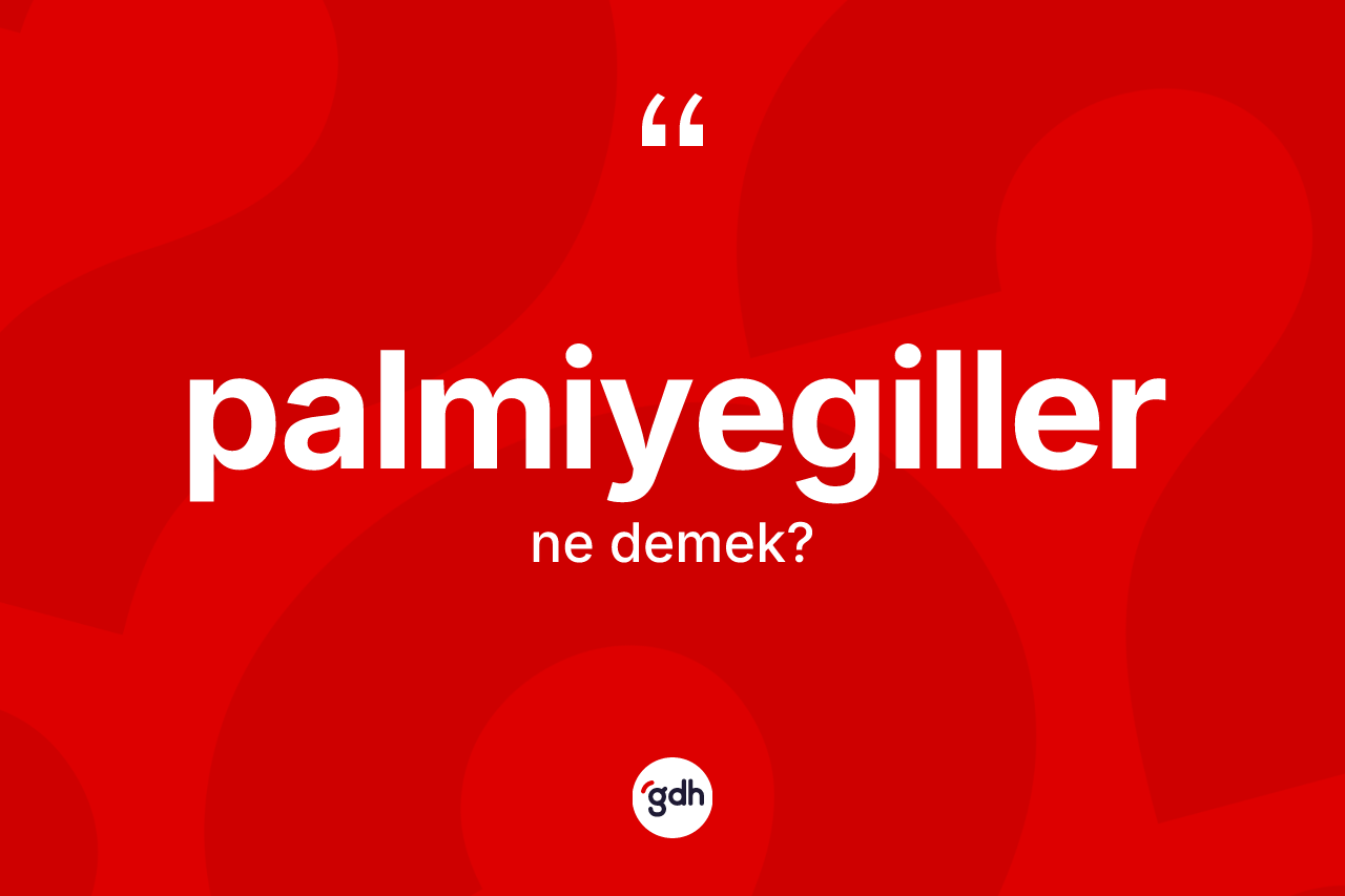 Palmiyegiller ne demek? Palmiyegiller kelimesinin kaç farklı anlamı var?
