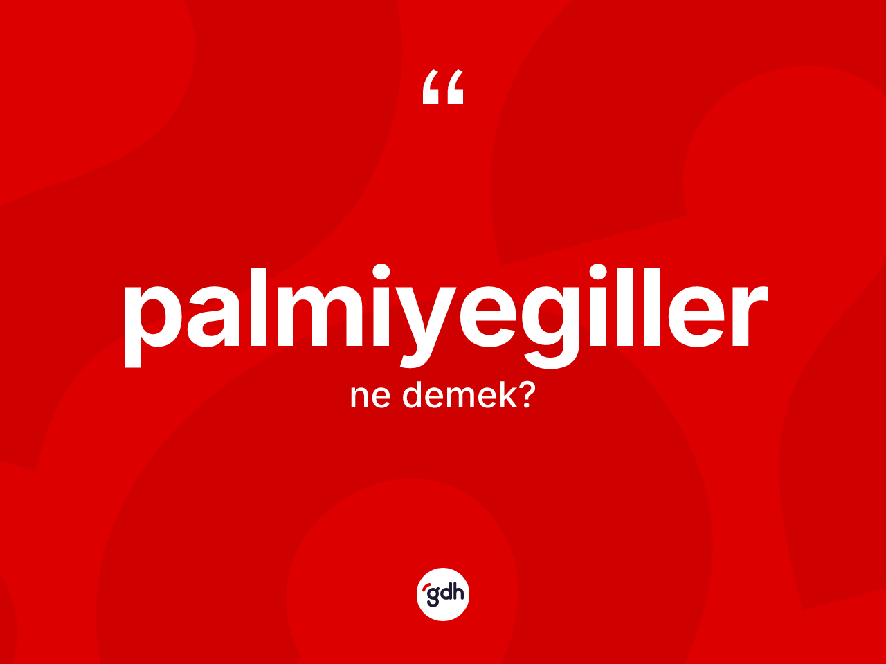 Palmiyegiller ne demek? Palmiyegiller kelimesinin kaç farklı anlamı var?