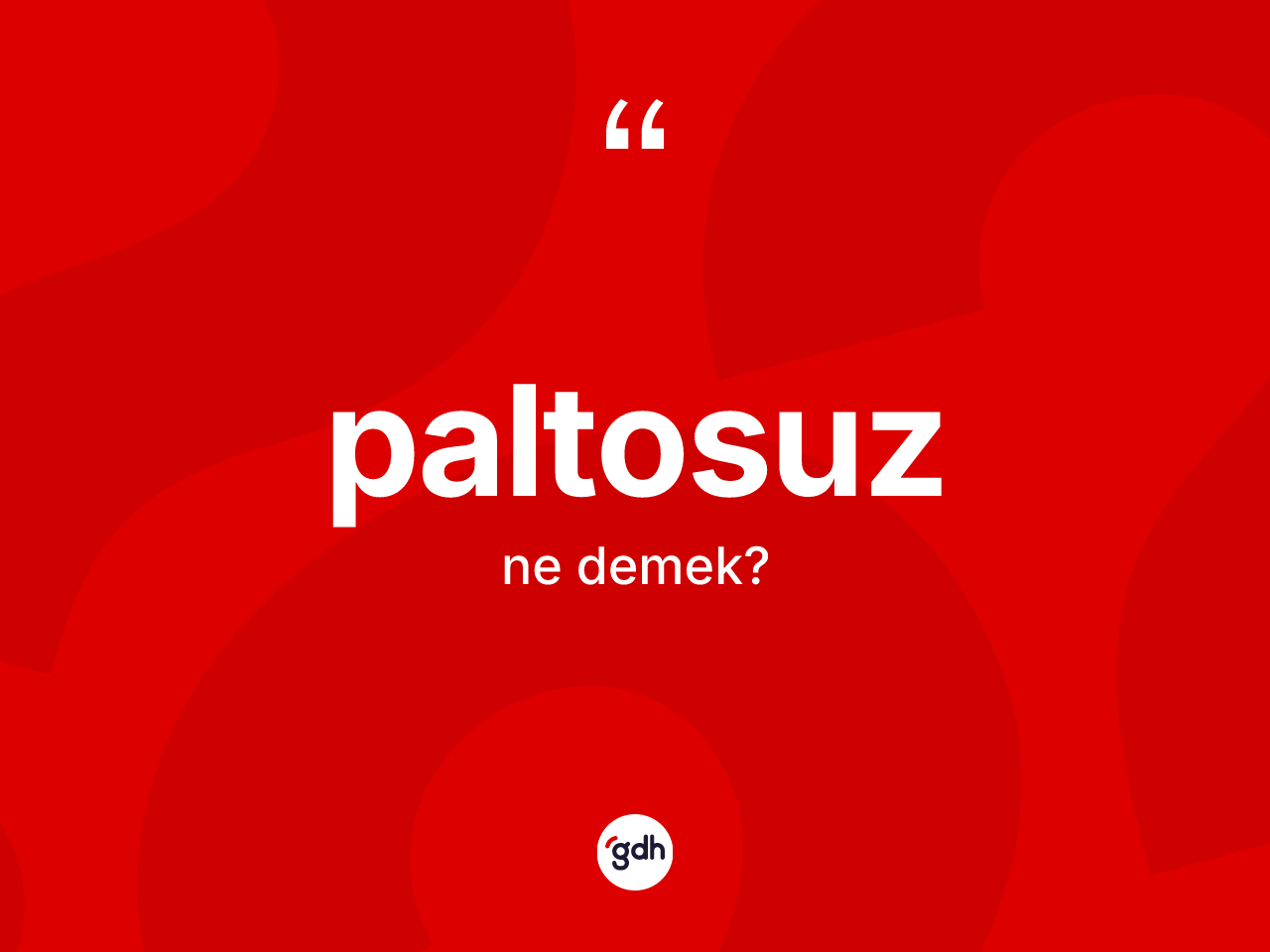 Paltosuz ne anlama gelir? Paltosuzun TDK'ya göre anlamı nedir?
