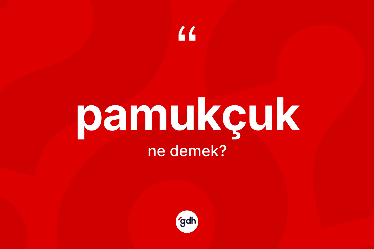 Pamukçuk kelimesinin anlamı nedir? Pamukçuğun TDK'ya göre anlamı nedir?