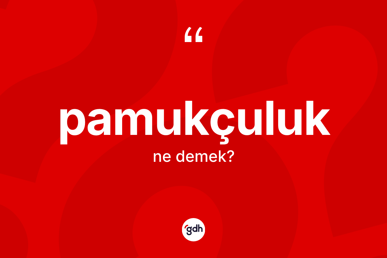 Pamukçuluk kelimesinin tanımı nedir? Pamukçuluk kelimesinin TDK'ya göre açıklaması nedir?
