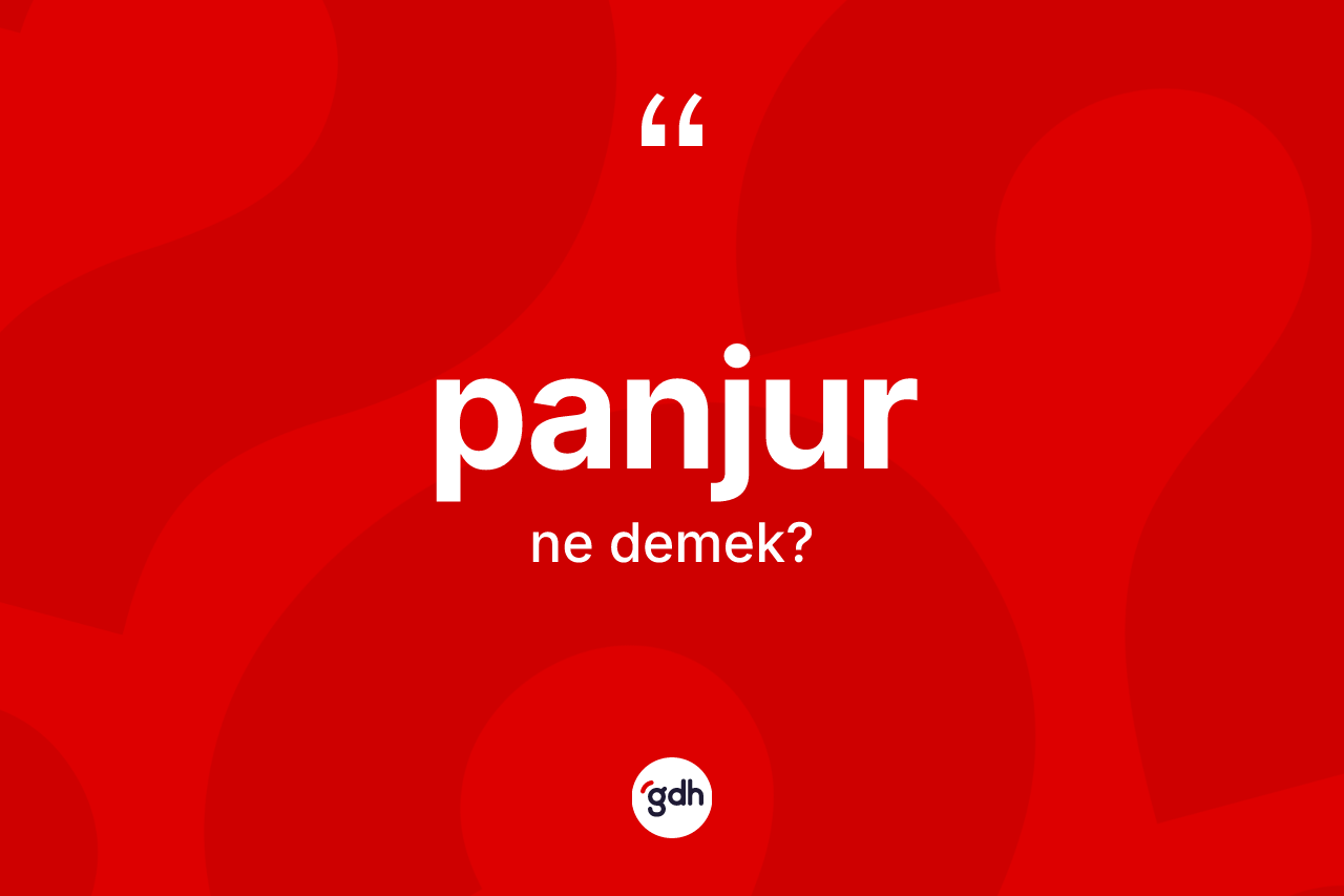 Panjur kelimesinin tanımı nedir? Panjurun halk arasındaki kullanımı nasıldır?