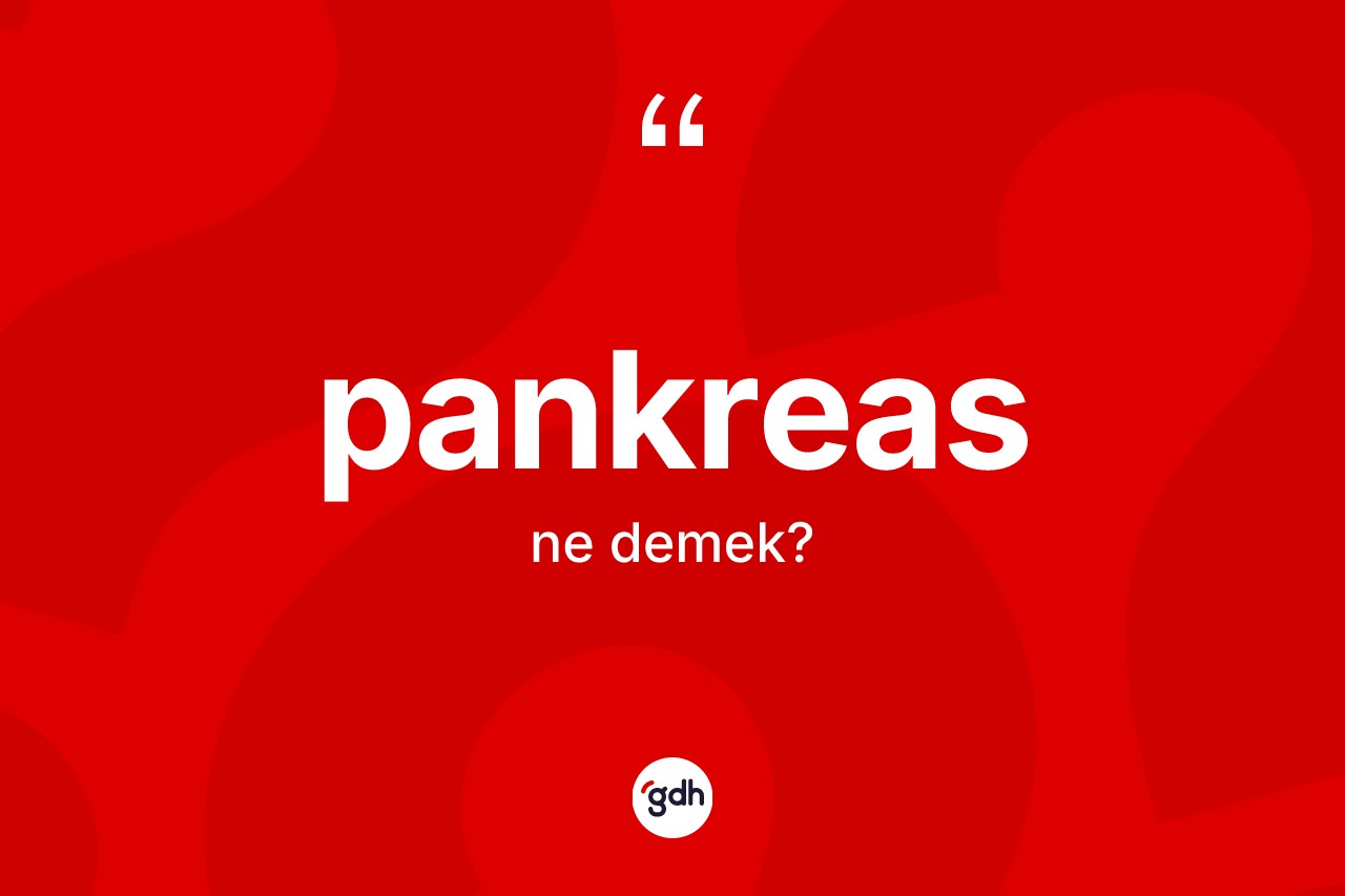 Pankreas kelimesi nedir? Pankreas kelimesinin özellikleri nelerdir?