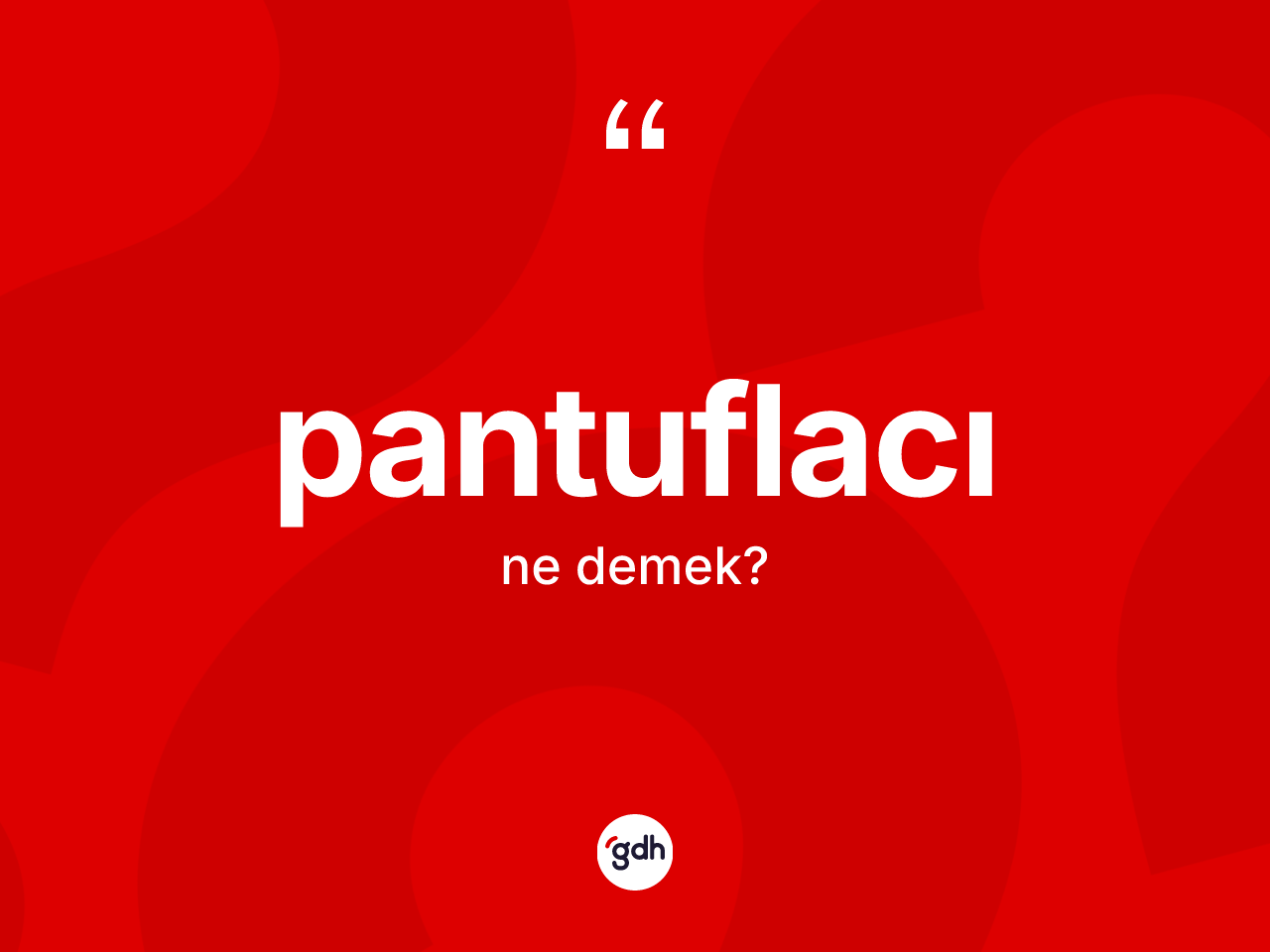 Pantuflacı kelimesinin tanımı nedir? Pantuflacının sözlükteki anlamı nedir?