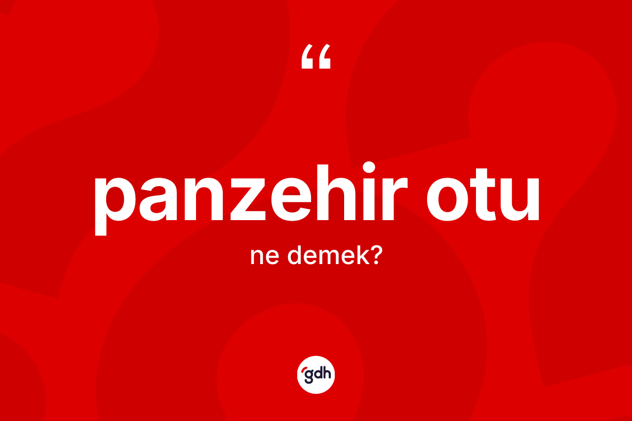 Panzehir otu kelimesinin anlamı nedir? Panzehir otunun halk arasındaki kullanımı nasıldır?
