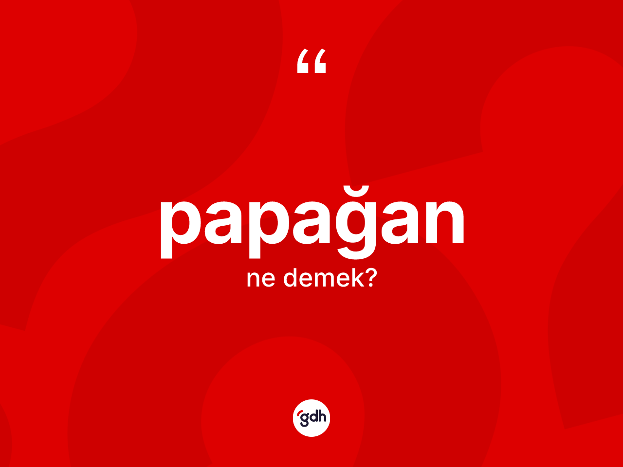 Papağan ne demek? Papağan kelimesinin özellikleri nelerdir?