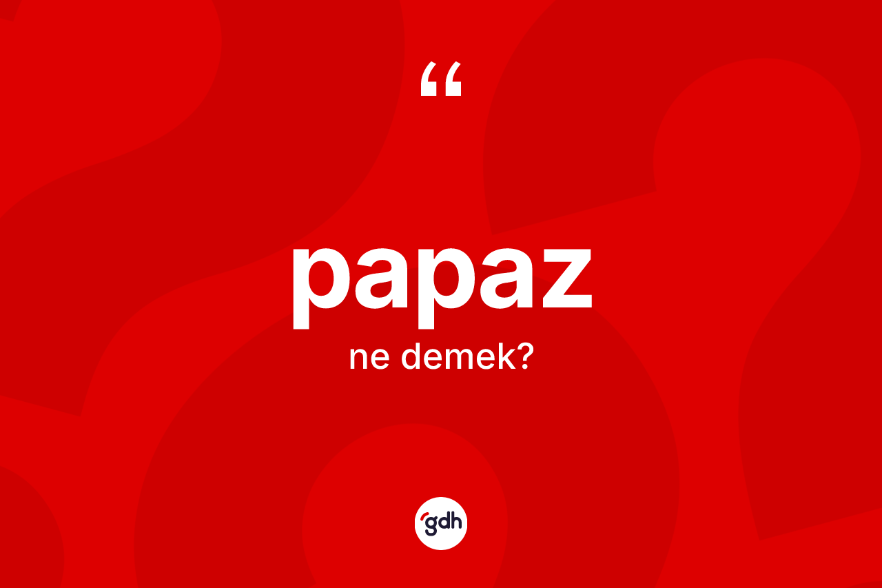 Papaz kelimesinin tanımı nedir? Papazın TDK'ya göre anlamı nedir?