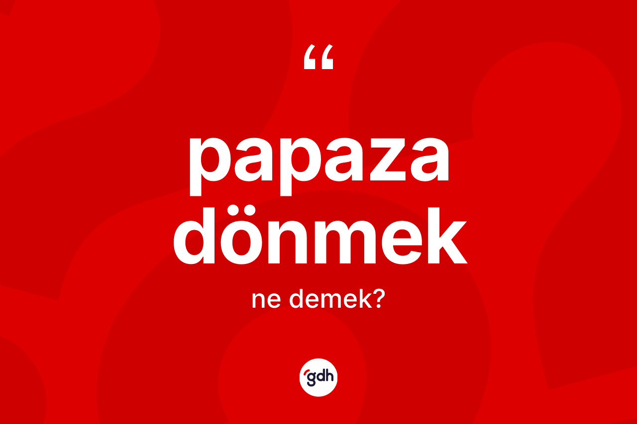 Papaza dönmek ifadesi neyi anlatır? Papaza dönmek ifadesinin TDK açıklaması nedir?