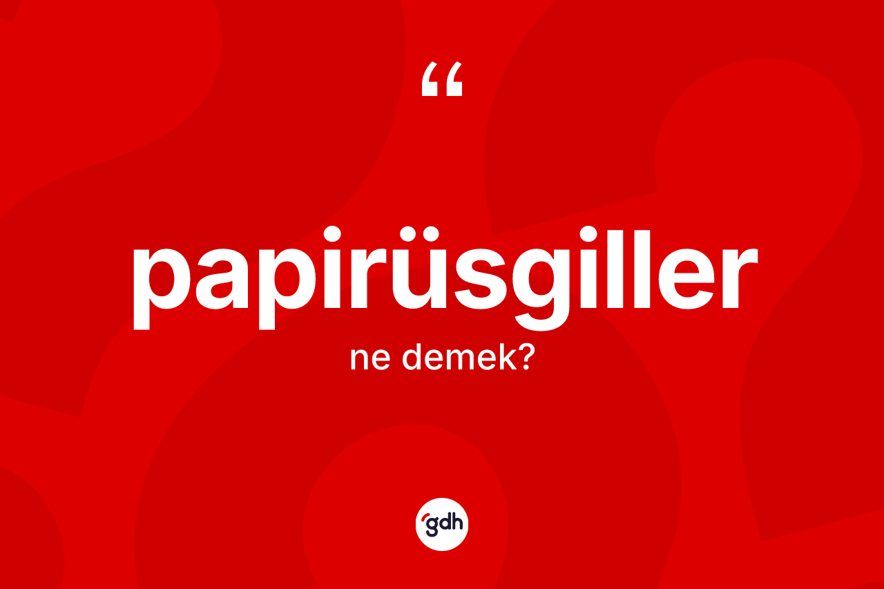 Papirüsgiller kelimesinin sözlükteki tanımı nedir? Papirüsgillerin TDK'ya göre anlamı nedir?