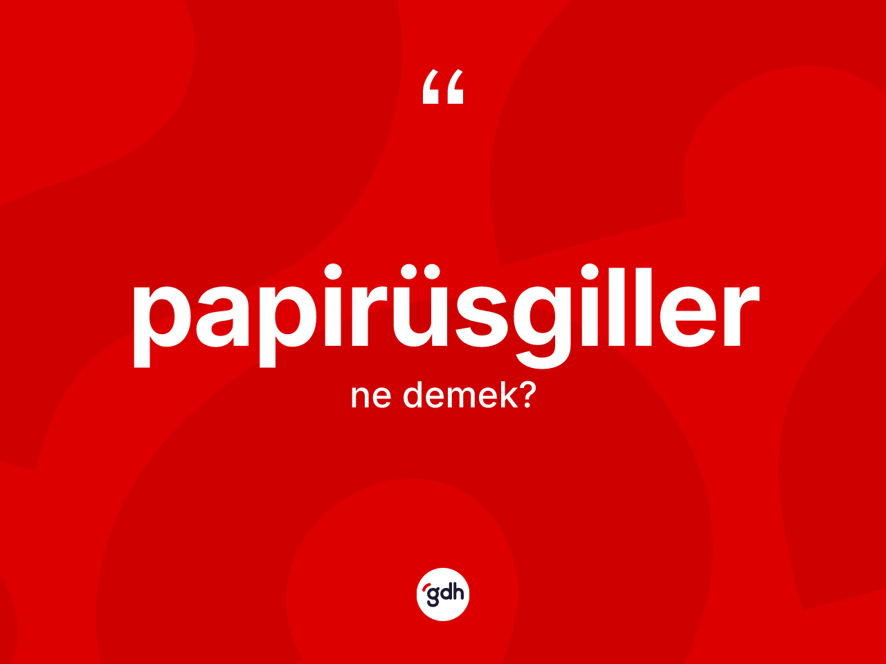 Papirüsgiller kelimesinin sözlükteki tanımı nedir? Papirüsgillerin TDK'ya göre anlamı nedir?