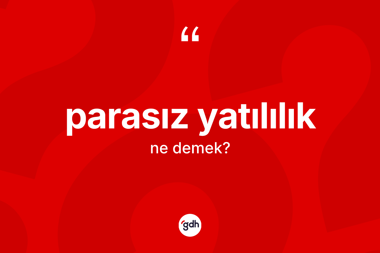 Parasız yatılılık kelimesi nedir? Parasız yatılılığın TDK'ya göre anlamı nedir?