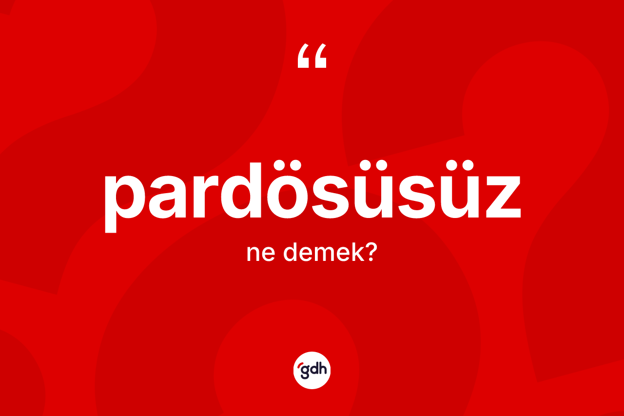 Pardösüsüz ne demek? Pardösüsüzün TDK'ya göre anlamı nedir?
