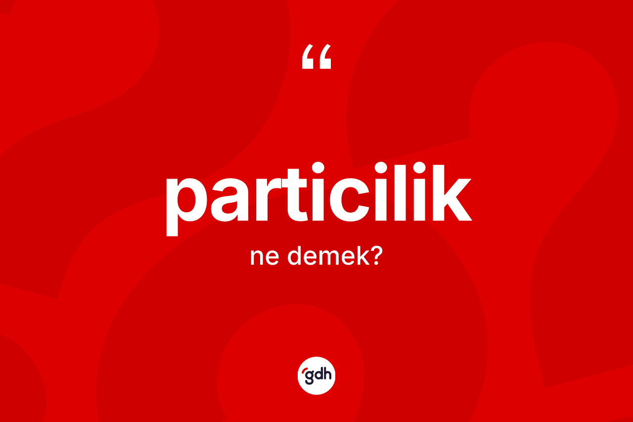 Particilik nedir? Particiliğin TDK'ya göre anlamı nedir?