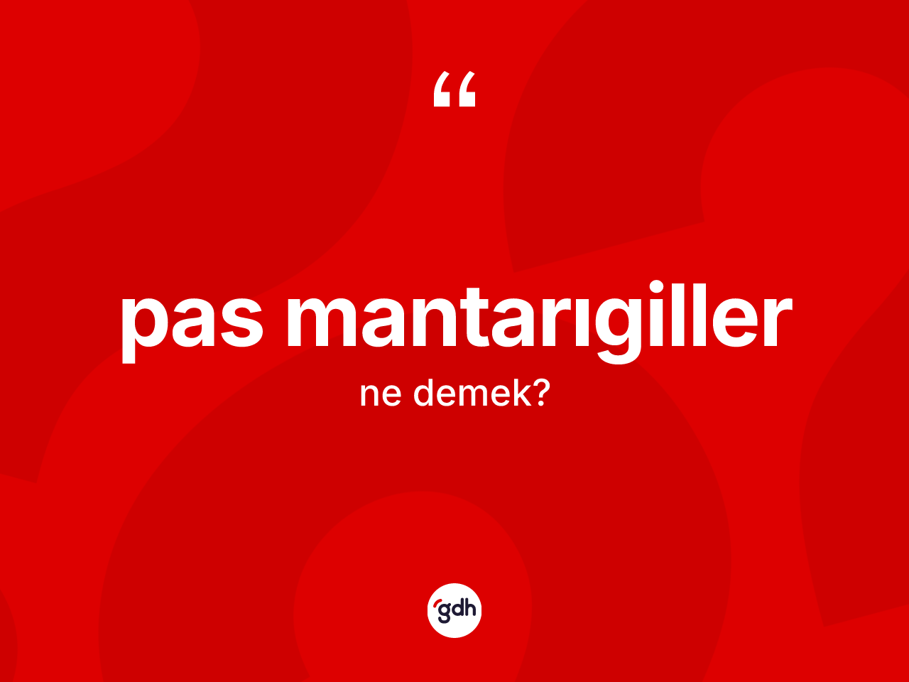 Pas mantarıgiller kelimesi nedir? Pas mantarıgiller kelimesinin özellikleri nelerdir?