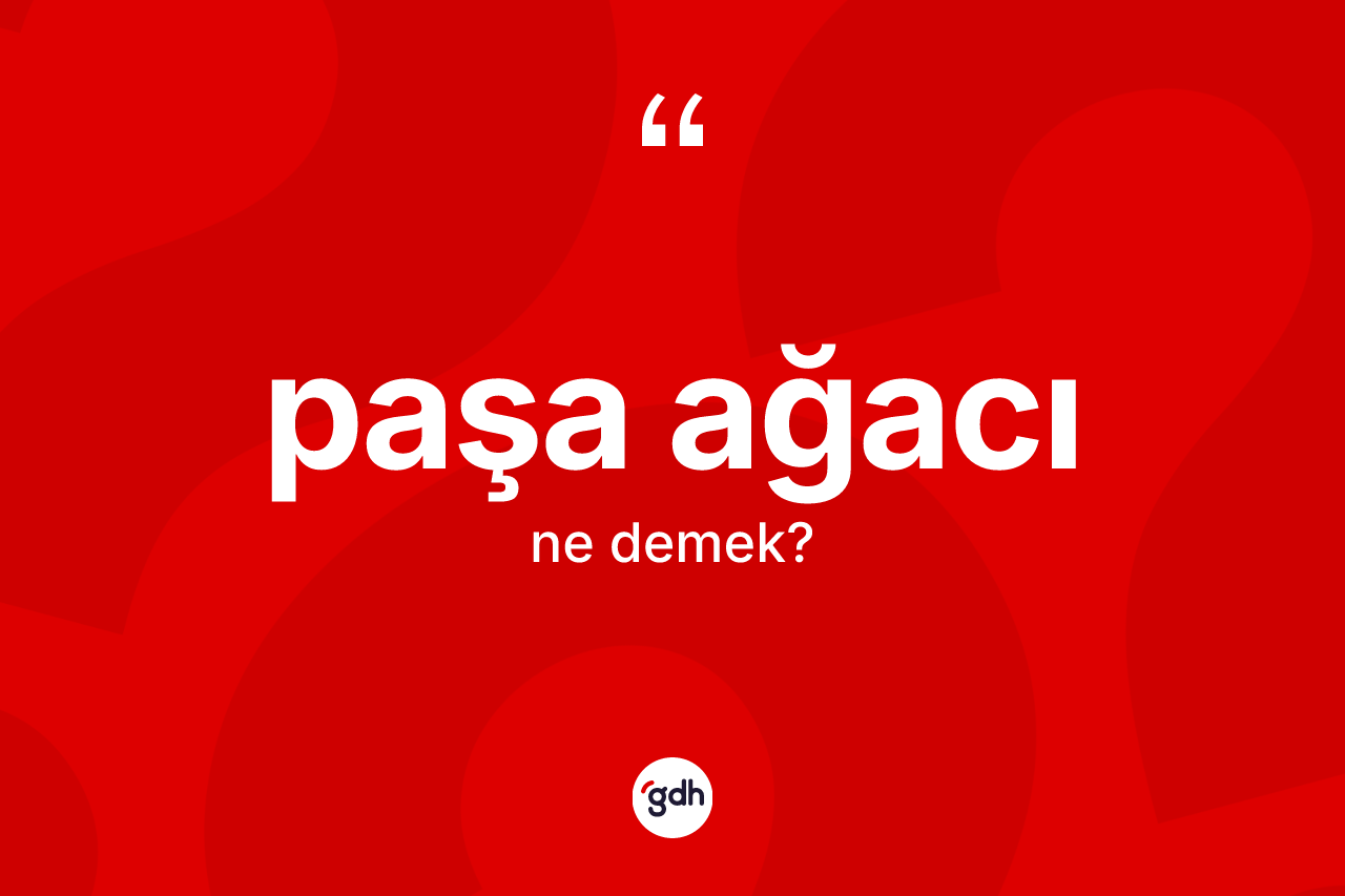 Paşa ağacı kelimesinin tanımı nedir? Paşa ağacının sözlükteki anlamı nedir?