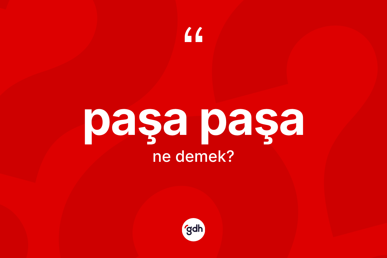 Paşa paşa kelimesi ne demek? Paşa paşanın kısaca tanımı nedir?