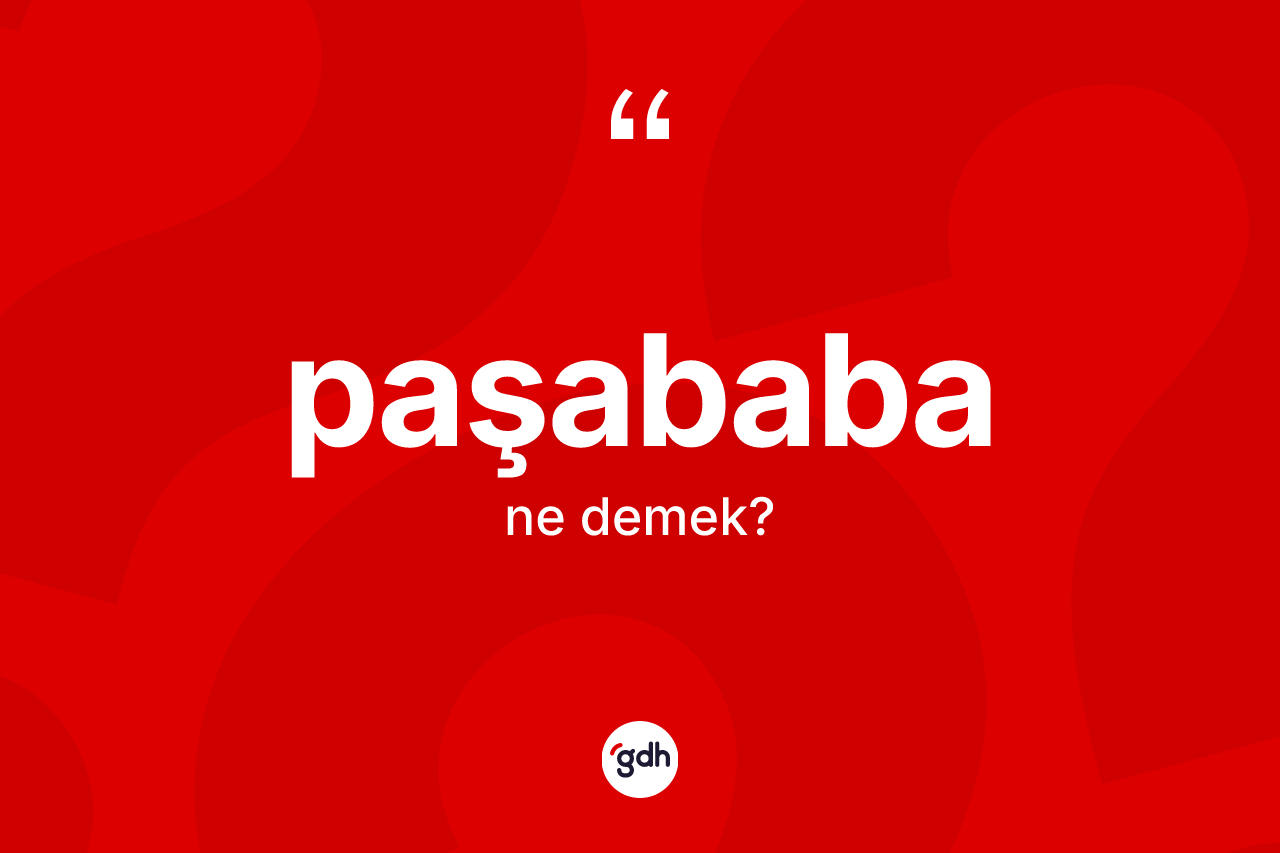 Paşababa kelimesinin tanımı nedir? Paşababanın TDK'ya göre anlamı nedir?
