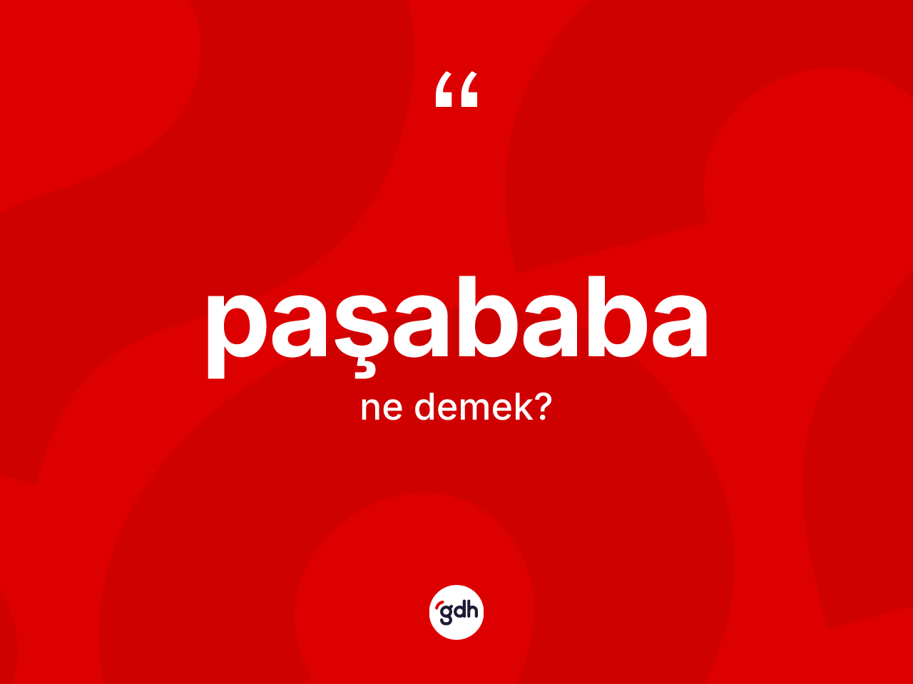 Paşababa kelimesinin tanımı nedir? Paşababanın TDK'ya göre anlamı nedir?