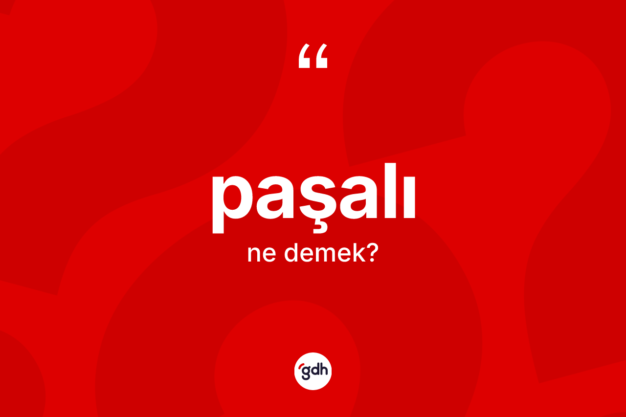 Paşalı kelimesinin sözlükteki tanımı nedir? Paşalı kelimesinin kaç farklı anlamı var?