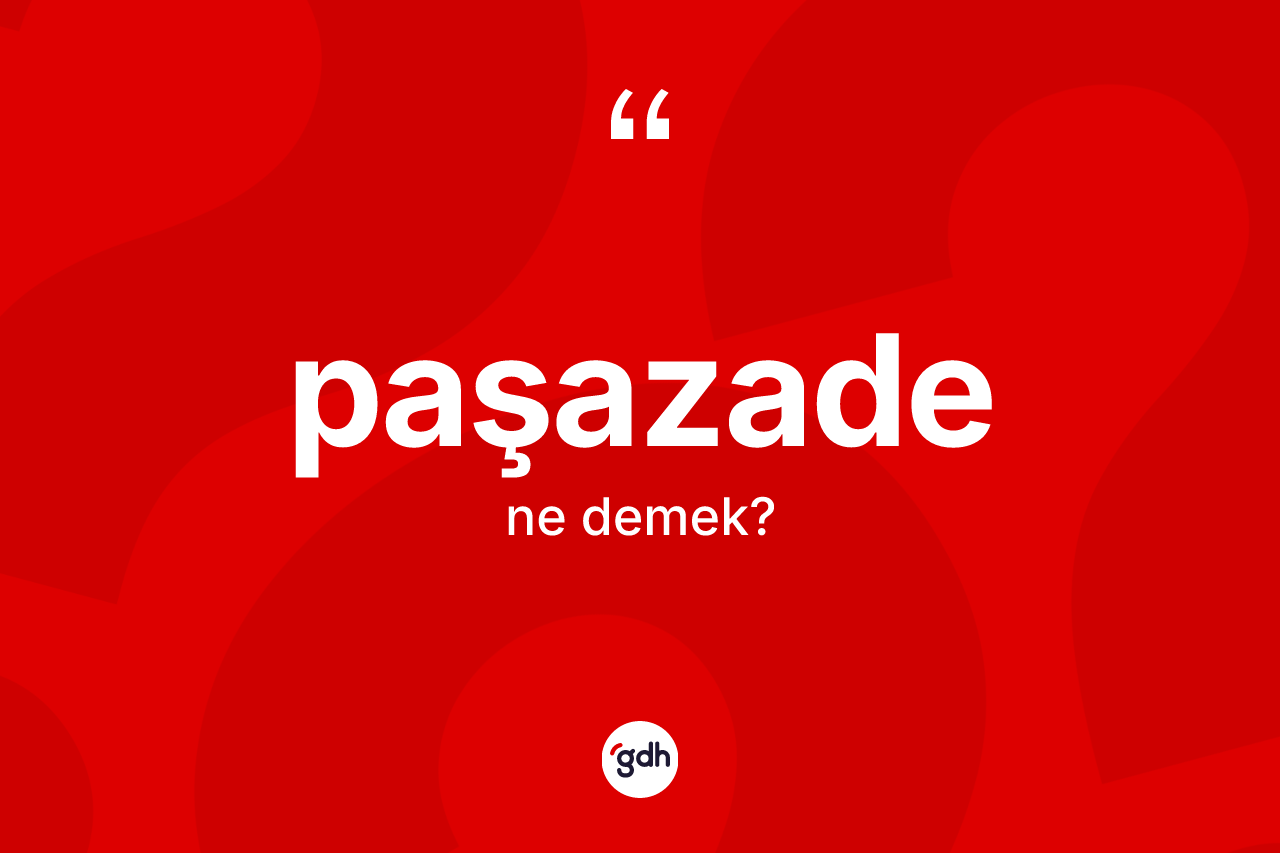 Paşazade kelimesinin sözlükteki tanımı nedir? Paşazadenin TDK'ya göre anlamı nedir?